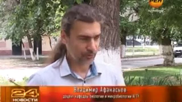 Тополя гибнут Новости 18 06 2013 смотреть онлайн