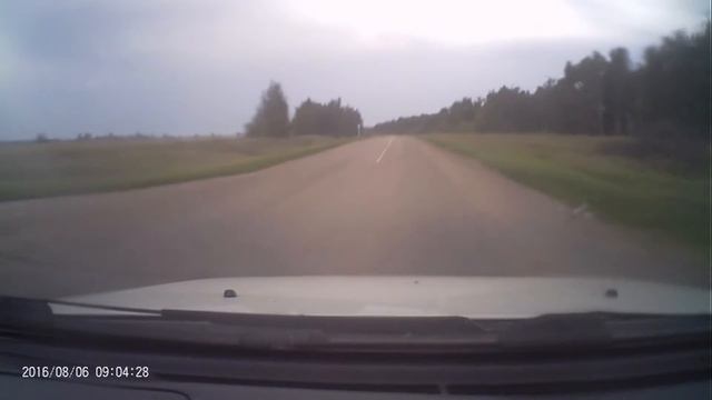 трасса волчиха родино смотреть онлайн