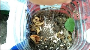 Хранение выползка до рыбалки. В поисках трофейного сома.