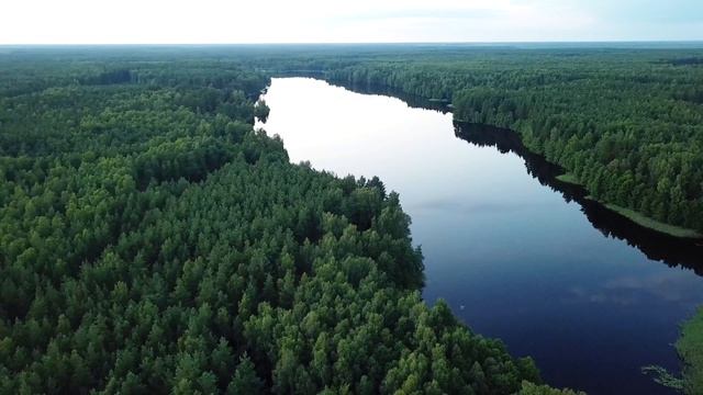 Озеро Заборье, Новоклязьминское сельское поселение, Южский район, Ивановская область, Россия смотреть онлайн