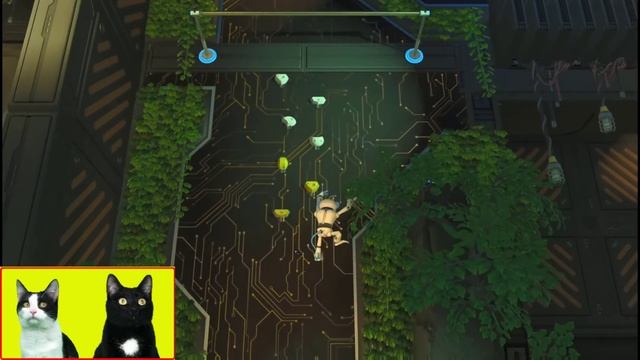Gato Jugando Con El Robot De PS5 Vs Dragon Con Gatos Luna Y Estrella / Videojuego Con Gatitos