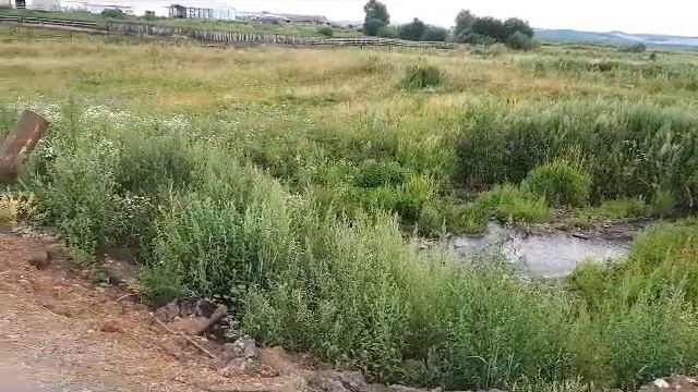 Коллективное обращение Граждан сельского поселения Старый Варяш о ненадлежащем содержании дороги