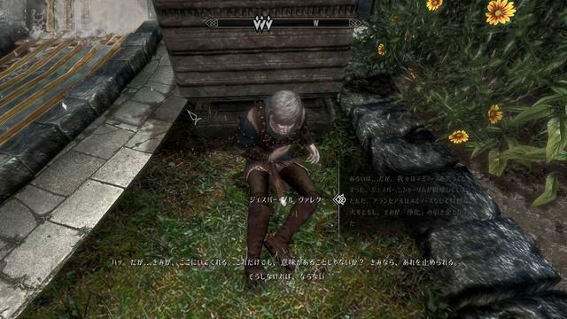 【Skyrim 大型MOD エンデラル】 Catharsis Ending Calia route 【Enderal】 смотреть онлайн