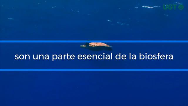 8 de junio 2021: Día mundial de los océanos смотреть онлайн