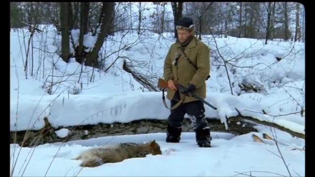 Bahh tee волчонок смотреть онлайн