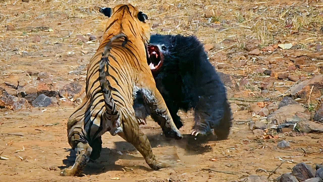 10 Слишком Странных Животных Планеты. смотреть онлайн