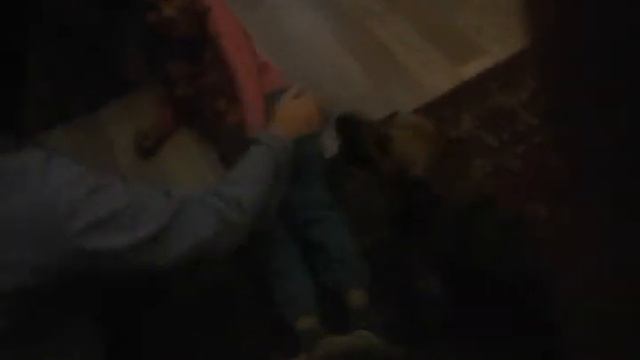 Собака защищает детей смотреть онлайн