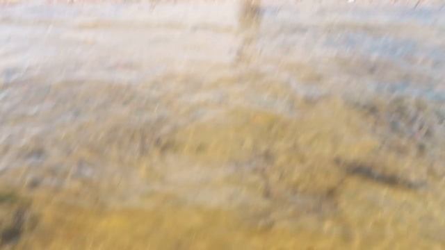 Влог 13.07.17 Таракан в детском питании 0_о смотреть онлайн