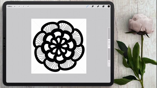 Lace Procreate Brush Tutorial (((Free Brush!)))
