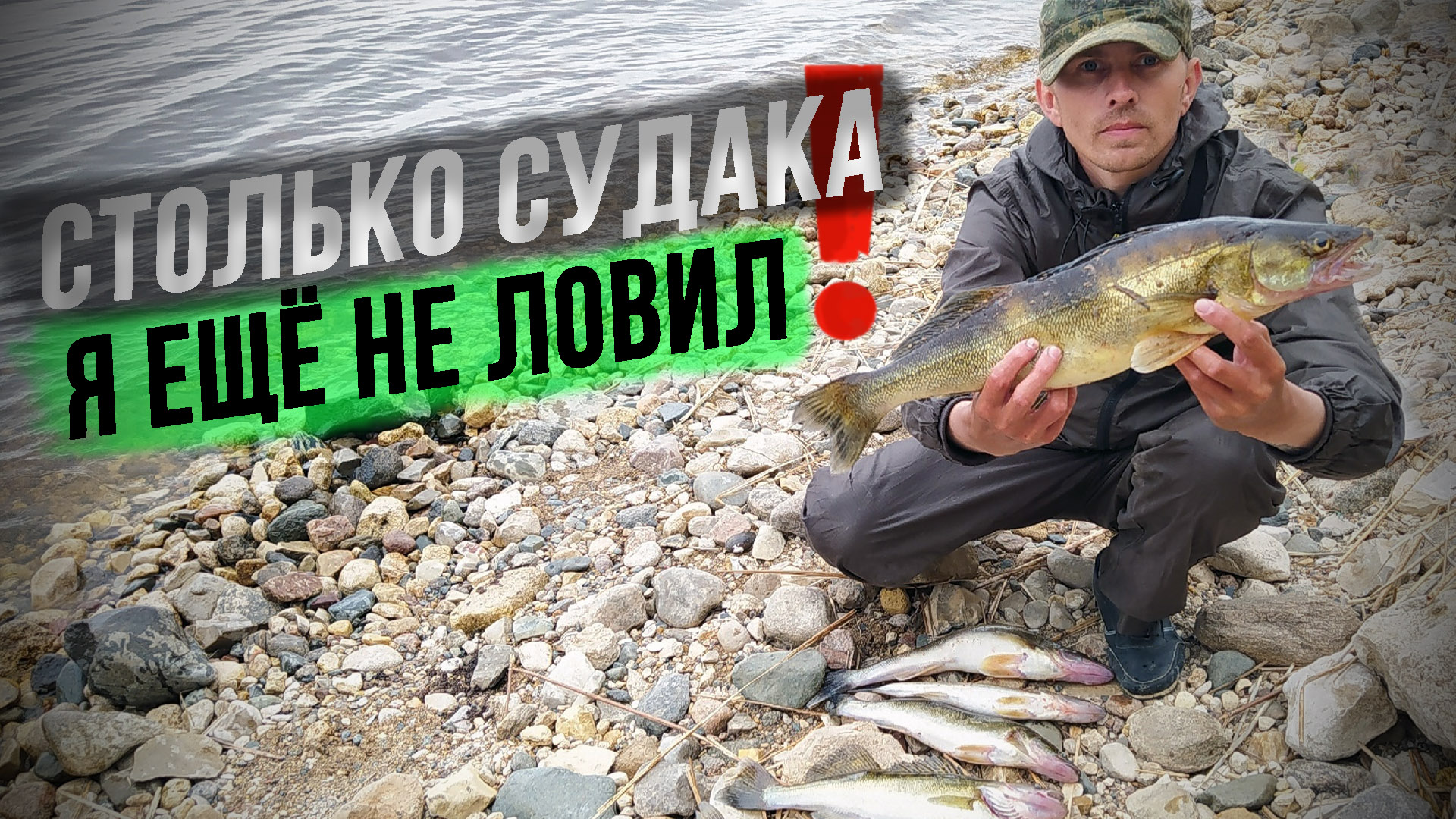 Рыбалка на донки.Эта ЛУЧШАЯ насадка для ловли крупного судака.ЖОР СУДАКА в июне