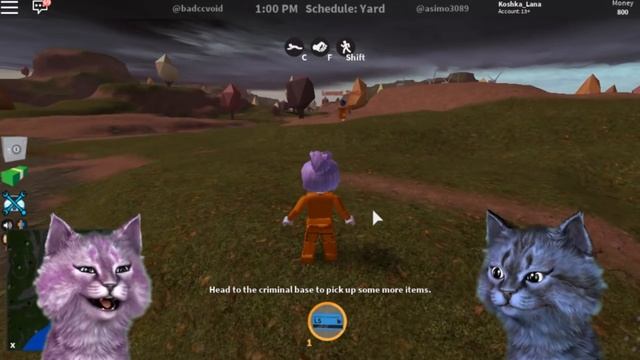 ПОБЕГ ИЗ ТЮРЬМЫ С ЛЕО роблокс ROBLOX Jailbreak КОШКА ЛАНА ГРАБИТ БАНК смотреть онлайн