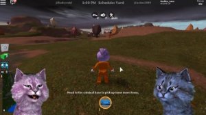 ПОБЕГ ИЗ ТЮРЬМЫ С ЛЕО роблокс ROBLOX Jailbreak КОШКА ЛАНА ГРАБИТ БАНК