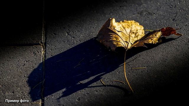 Обзор Nikon Z6II: полнокадровая беззеркальная камера