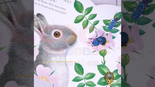 Buku Edukasi Anak Board Book Touch Feel English Mandarin RABBIT смотреть онлайн