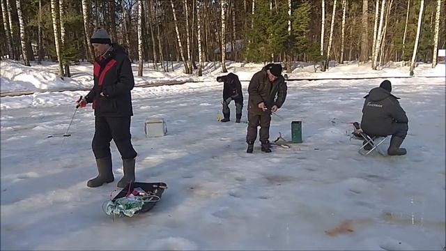 На спорт-зоне отлично работает актив. Клёвое место, Лосиный остров. смотреть онлайн