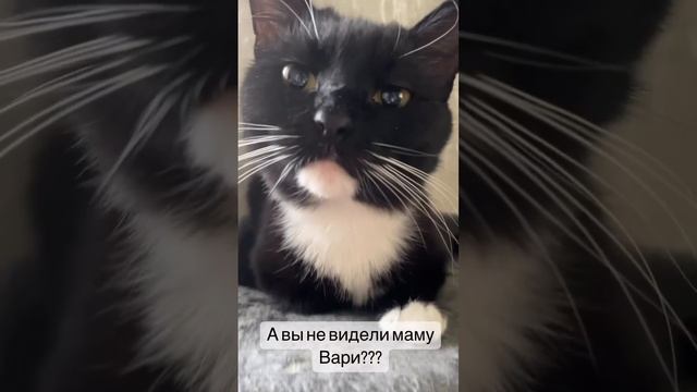 Варечка ищет свою маму❤️
