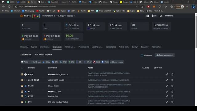 Запуск майнинга в TESTNET Ironfish на 3080ti. HiveOS, Windows, RaveOS