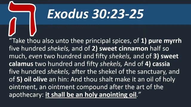 Hebrew Wisdom in Psalm 119 Part 2_Dalet, Hey & Vav смотреть онлайн