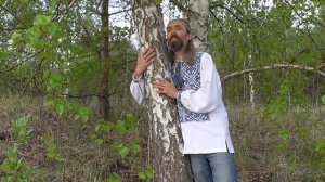 Поэзия Благодара Кирилюка «Обниму берёзку»