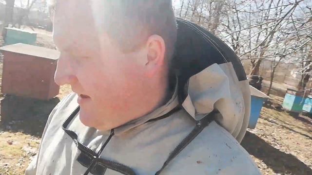 Стимулируем маток КОБАЛЬТОМ.