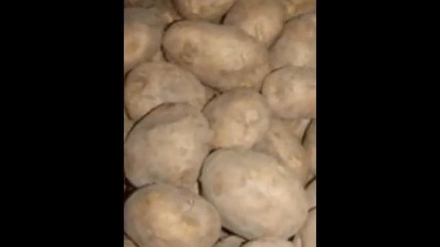 Картофель сортовой смотреть онлайн