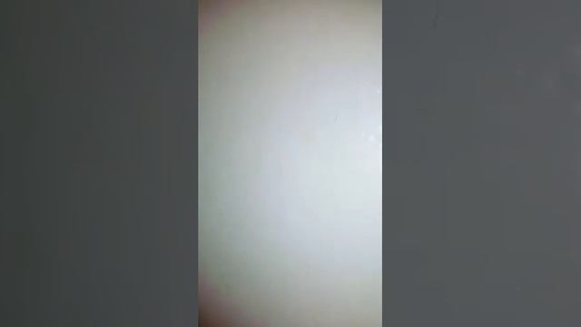 Aaron Williams "Meet Me On The Moon" cover... смотреть онлайн