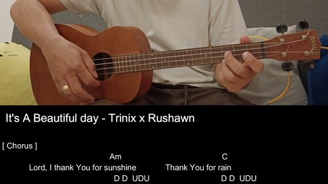It's A Beautiful day - Trinix x Rushawn - Ukulele Tutorial with Chords/ Lyrics смотреть онлайн