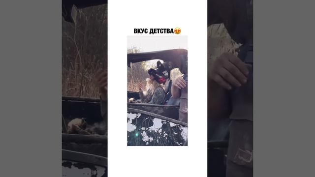 Вкус детства смотреть онлайн