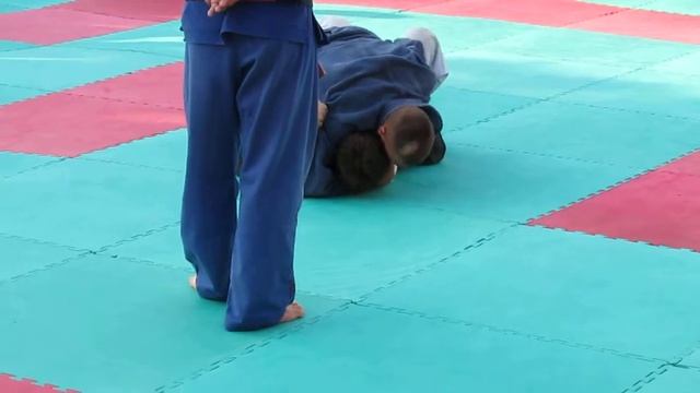 Летний лагерь Бушинкан 2012 5