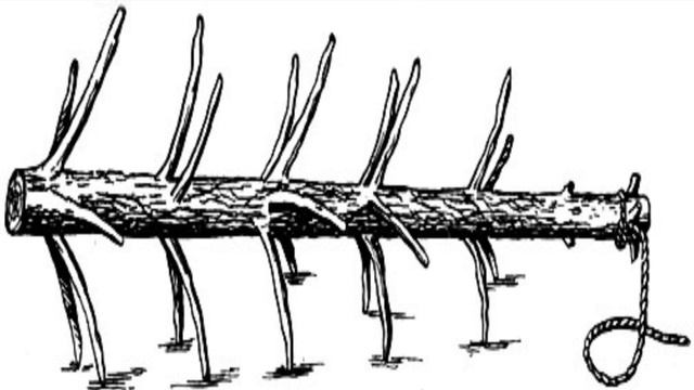 Научный сотрудник о выставке Как хлеб до стола дошёл смотреть онлайн
