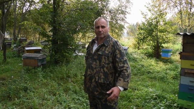 Смоленский пчеловод Василий Седаков смотреть онлайн
