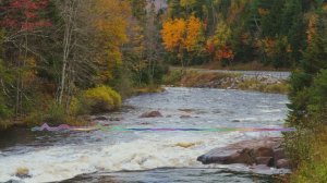 Тимур Хидирбеков - Дирги да 2023