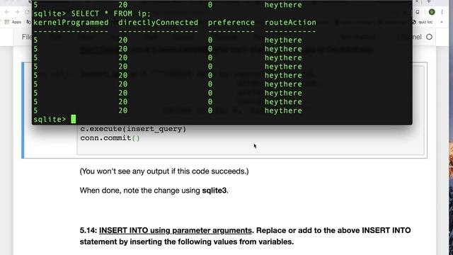 apy session 5 exercises 14 python insert into смотреть онлайн