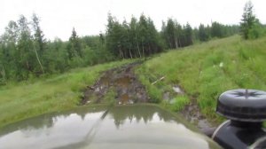 Тайга, тайга дороги нет