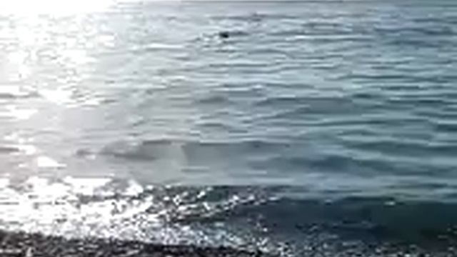 Море в Кабардинке))) смотреть онлайн