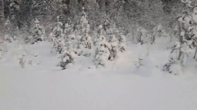 ирбис сф 200 супер лонг, бандой веселее, айда с нами... смотреть онлайн