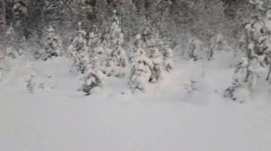 ирбис сф 200 супер лонг, бандой веселее, айда с нами...