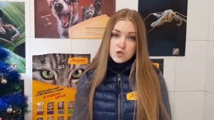 ЗАПОР У КОШЕК! Что Можно Делать Самостоятельно В Домашних Условиях? Советы Ветеринарного Врача.