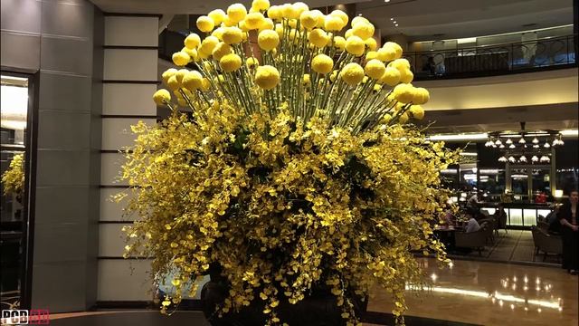 iPhone X Hands on Review Bangla | First impressions | PCB BD смотреть онлайн