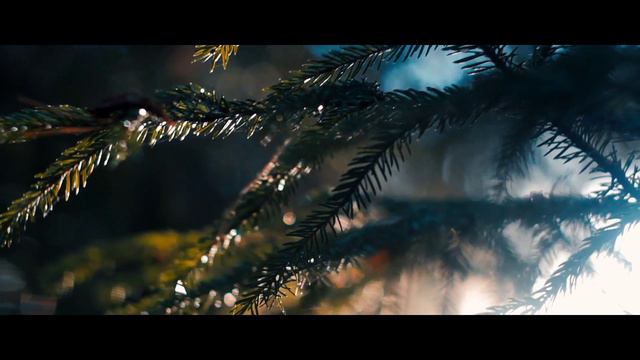 Helios 44 (съемка с рук)