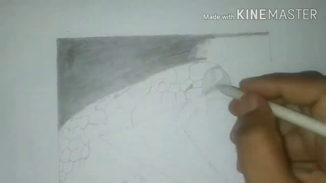 Snake sketch смотреть онлайн