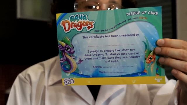 ¿Realmente funcionan los DRAGONES ACUÁTICOS? | Aqua Dragons ???? смотреть онлайн