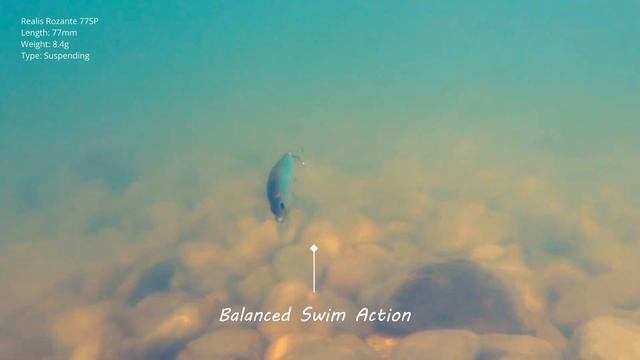 Lures in Motion : The Realis Rozante 77SP смотреть онлайн