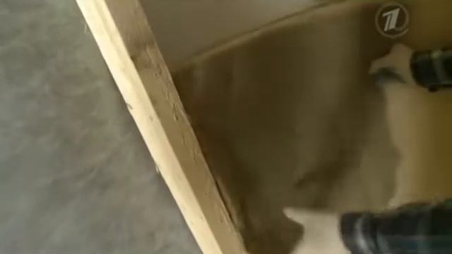 Фазенда от 2013 12 22 Утепление стен и крыши Экотеплином Москва Нева смотреть онлайн