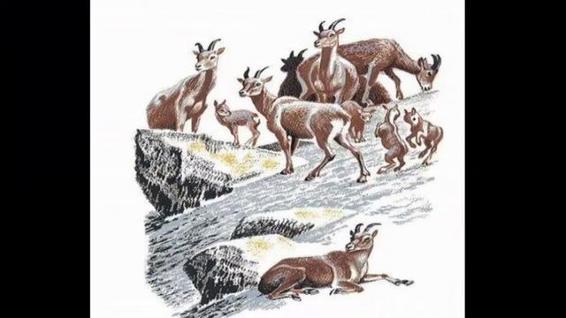 ЭРНЕСТ СЕТОН-ТОМСОН смотреть онлайн