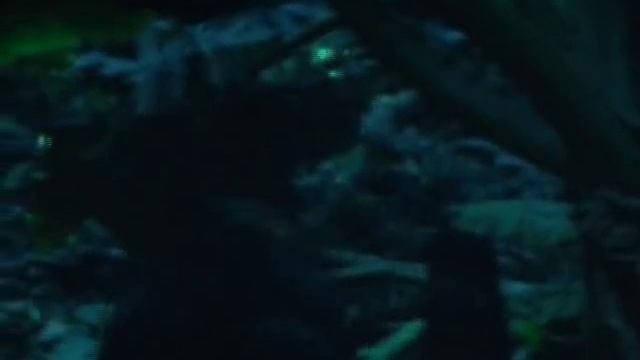 Never get out of the boat - Apocalypse Now смотреть онлайн