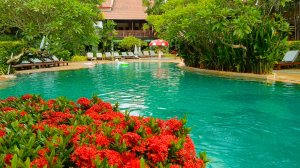 Kata Palm Resort, территория