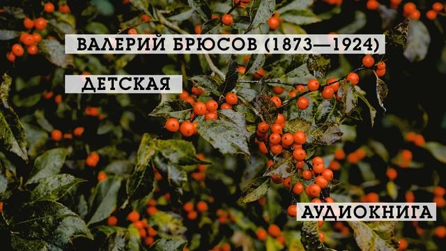 Детская | Валерий Брюсов | Стихотворения | аудиокнига смотреть онлайн