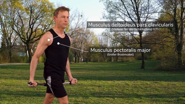Fitness Gadgets: Power Twister 10 Top Exercises (chest, Back, Shoulders, Biceps, Abdominal Muscle)