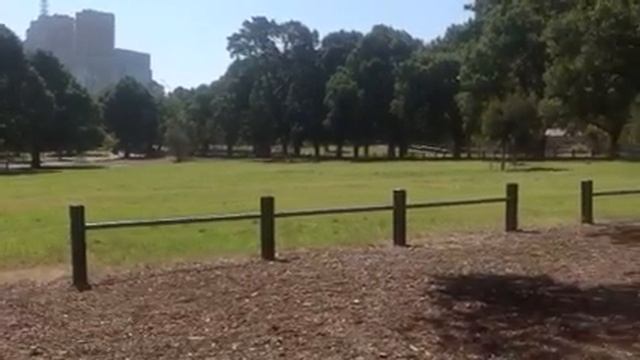 Melbourne Park смотреть онлайн
